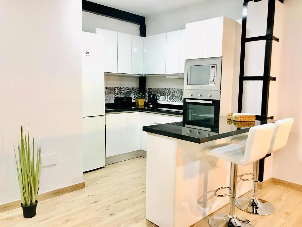 Modern & Spacious Apartment In Plaza De La Merced Malaga